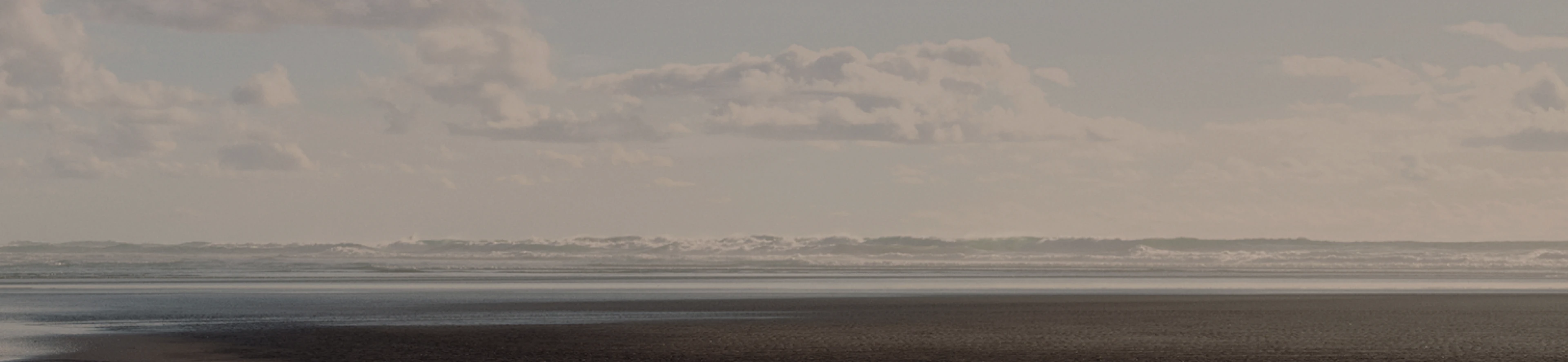 2026年、The all-new NEXOと歩む新しい旅路 - Hyundai Mobility Japan (ヒョンデ ジャパン)