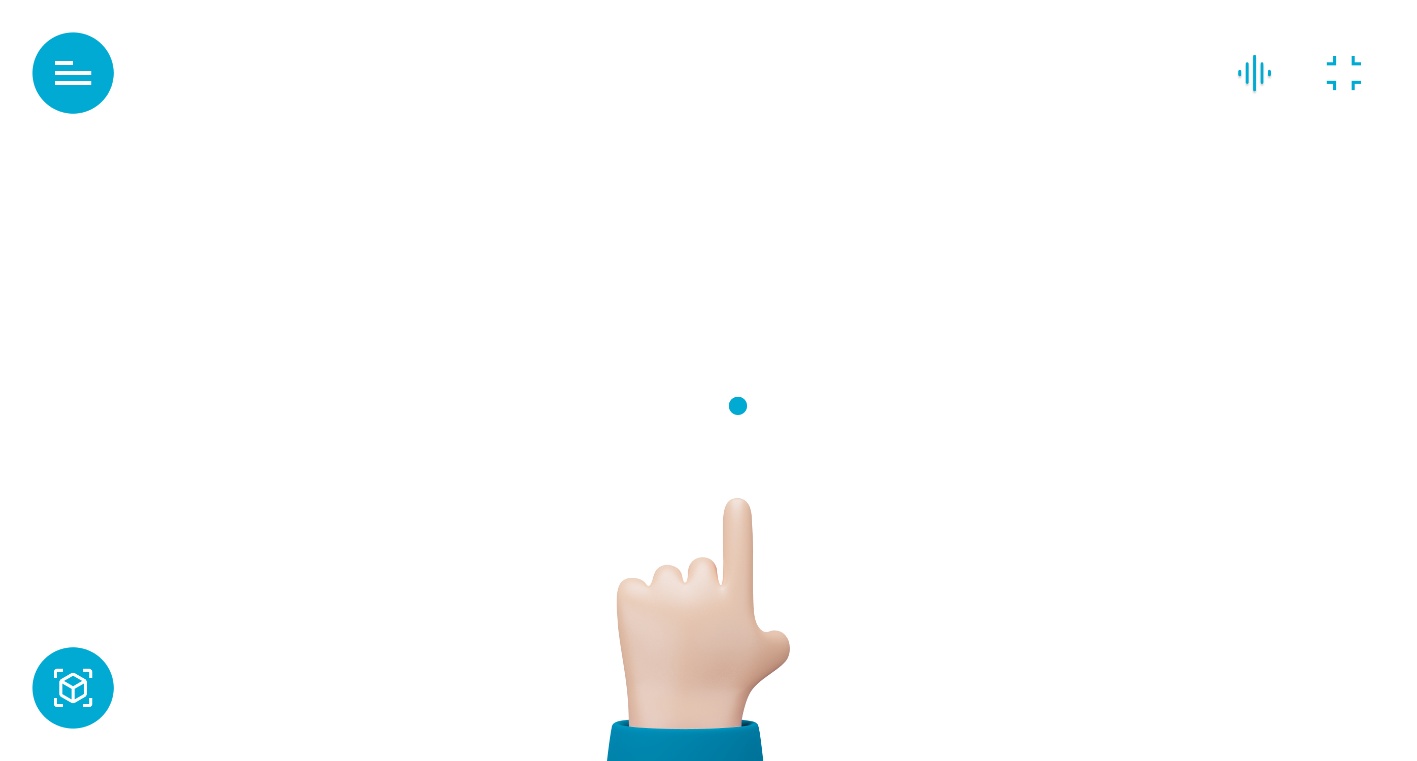 Mobile usage guide