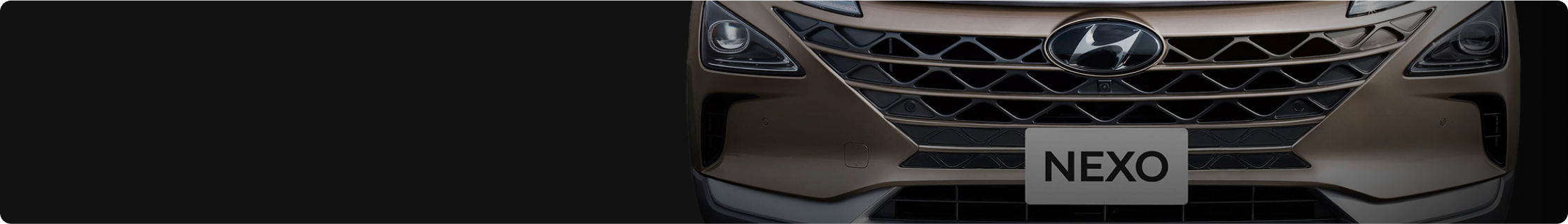 nexo banner