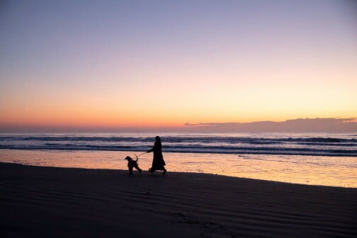 夕日の下のビーチで犬と歩く大田由香梨 - ヒョンデモビリティジャパン ライフスタイル