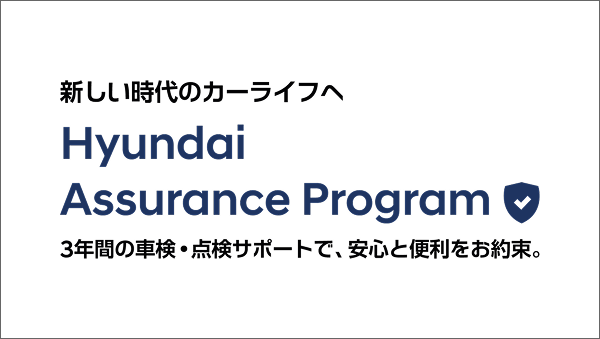 Hyundai Assurance Program
