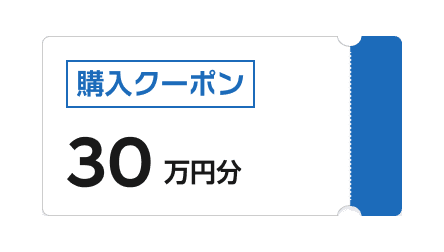 購入サポート30万円分