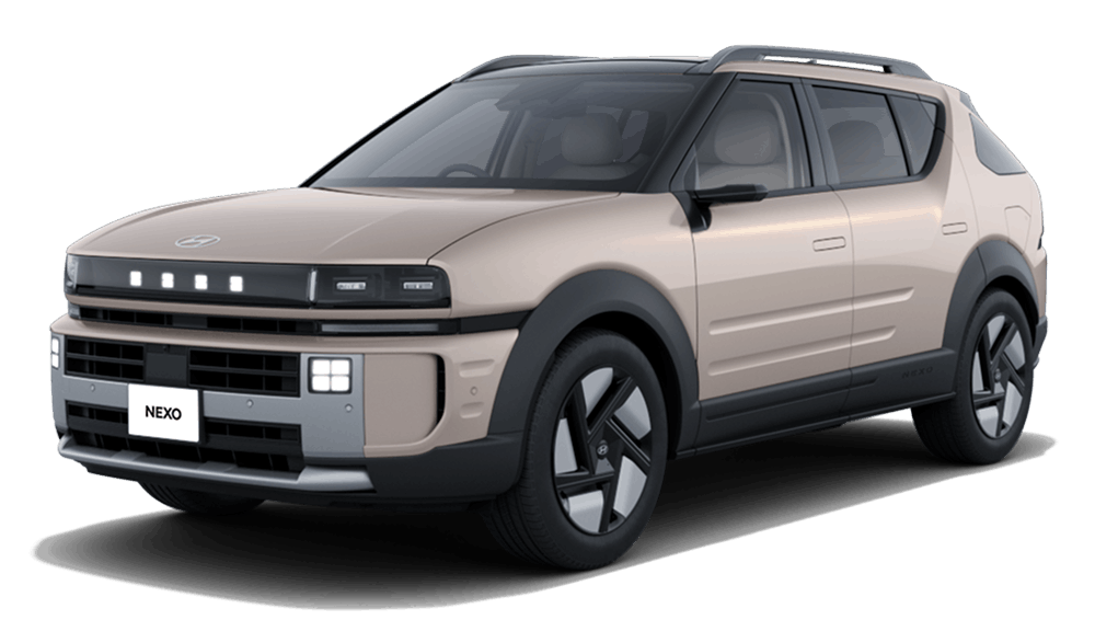 Bluelink 対応車種