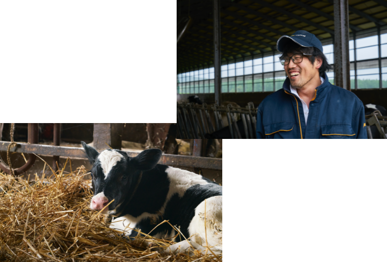 酪農家の髙木さんは上士幌に戻り、放牧式の酪農に取り組んでおります。- ヒョンデモビリティジャパン ライフスタイル