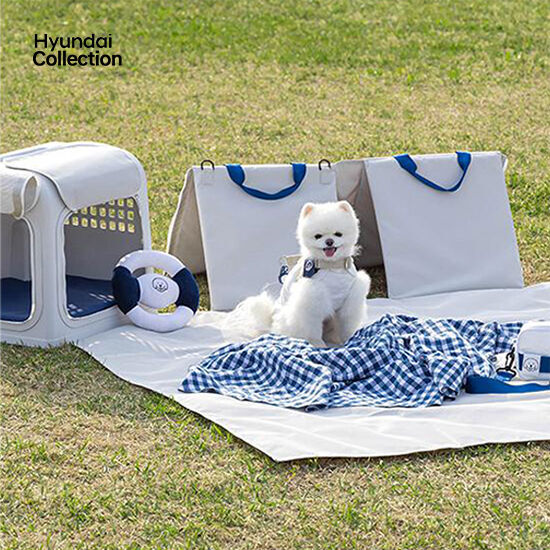 [Hyundai Collection]ピクニックマット-ヒュンダイ ジャパン オンラインショップ