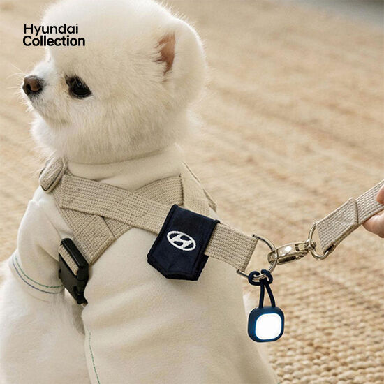 Hyundai Collection ペット用おさんぽライト-ヒュンダイ ジャパン オンラインショップ