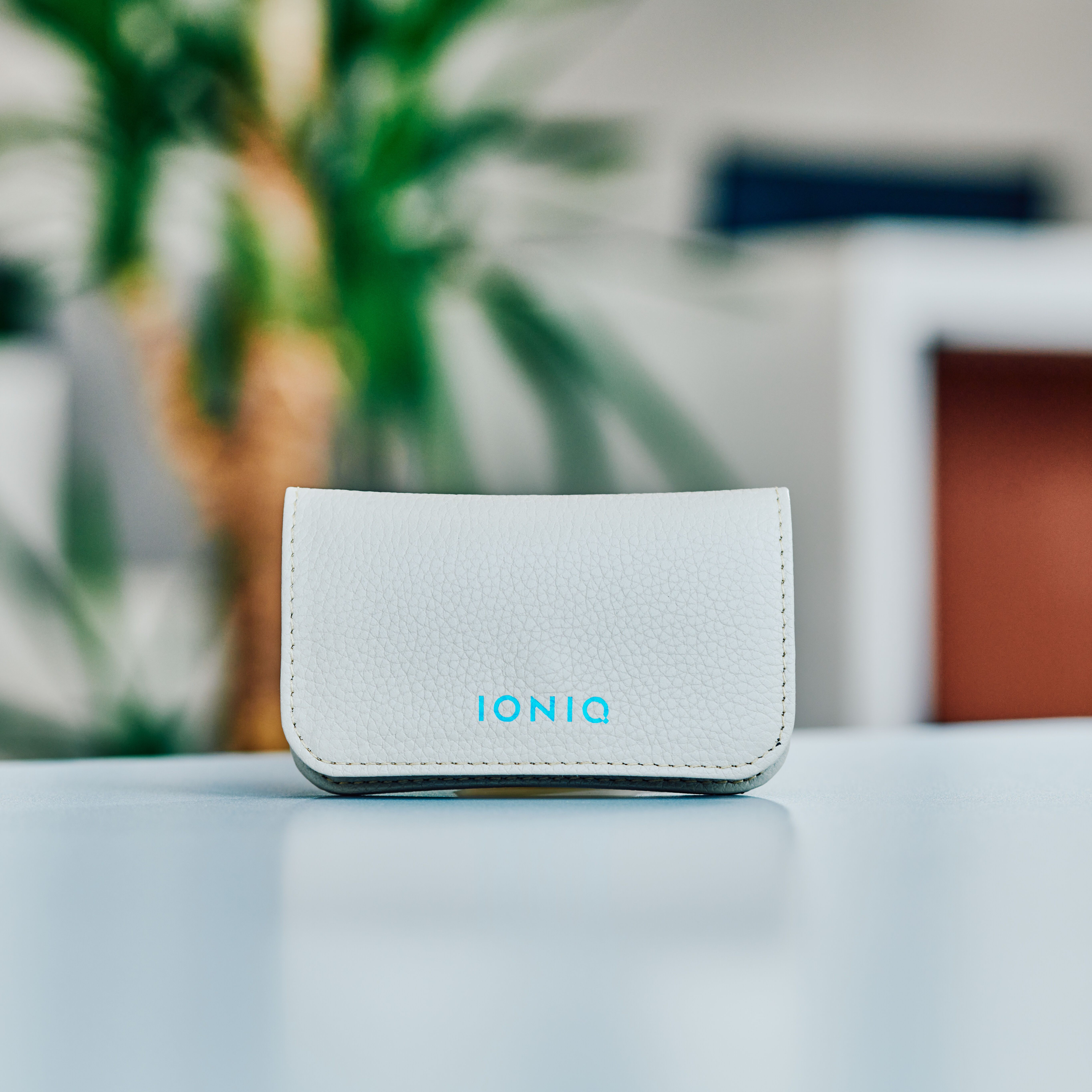 IONIQ キーポーチ-ヒュンダイ ジャパン オンラインショップ